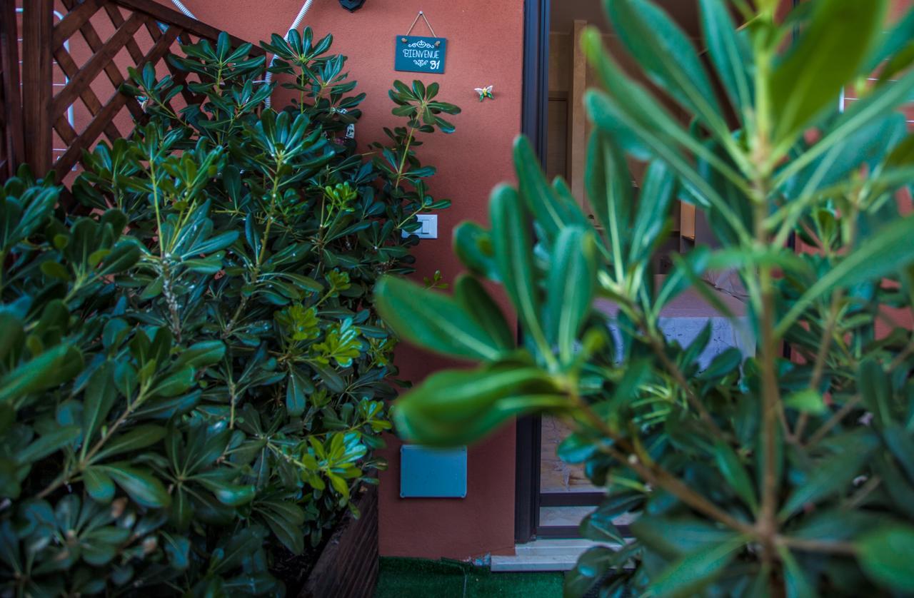 Venere B&B 卡斯泰尔莫拉 外观 照片